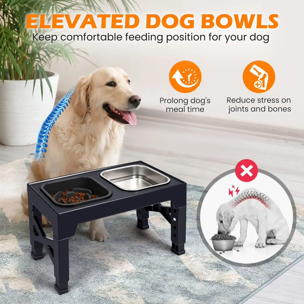 2-in-1 Elevated Slow Feeder Dog & Cat Bowls, Non-Slip Stainless Steel/Plastic/ Pet Food & Water Bowls with Foldable Stand!