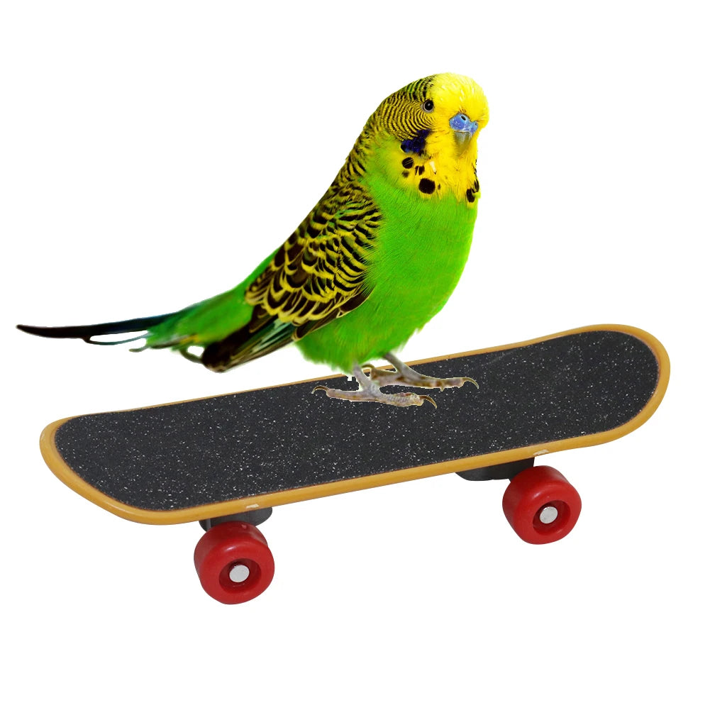 Mini Skateboard Parakeet Puzzle Toy Fun; Canary & Budgie Skateboard Bird Toy