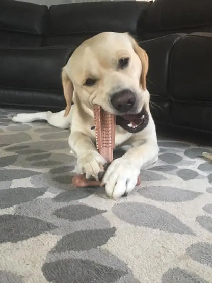 Durable Oral Care Dog Chews  For Puppies; Keep Teeth Clean.  For Mild Chewing and Teething.