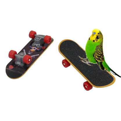 Mini Skateboard Parakeet Puzzle Toy Fun; Canary & Budgie Skateboard Bird Toy