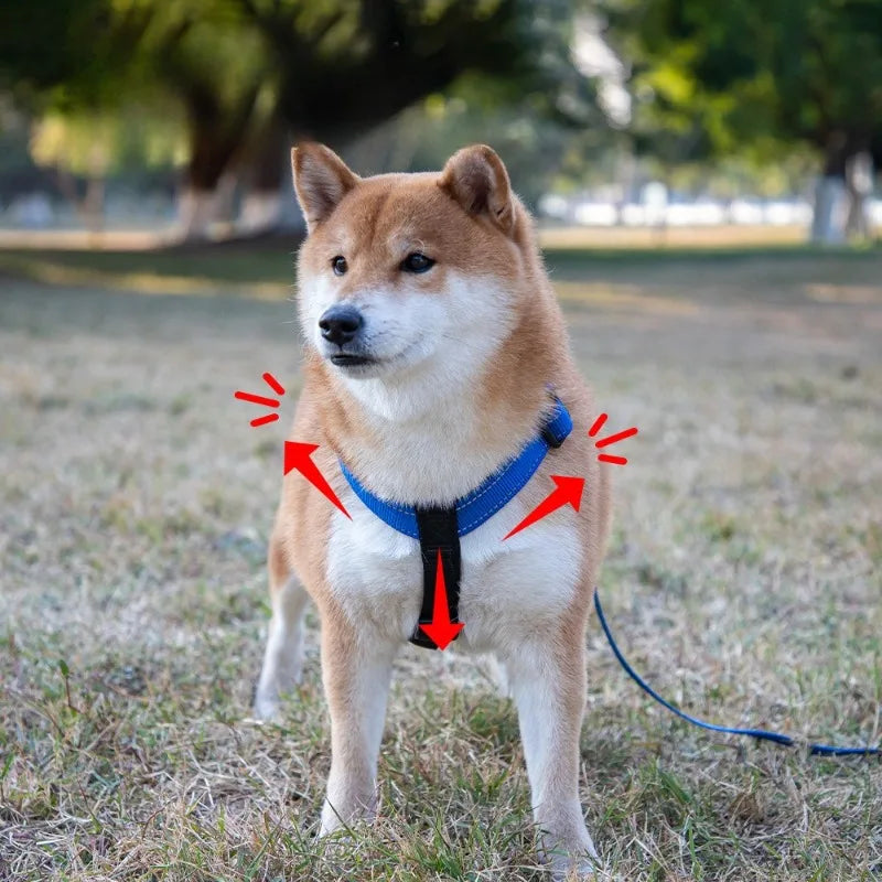 Dog Vest Type Harness for Small, Medium and Large Dogs! - JanesWaggingWonders