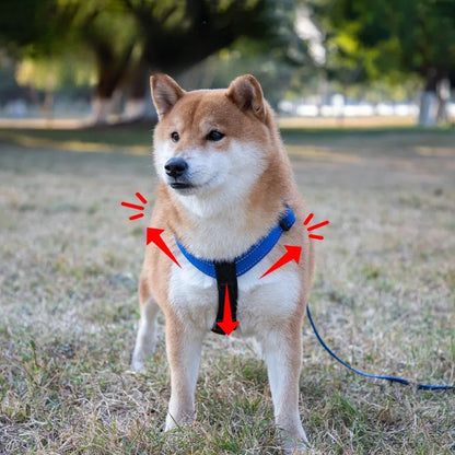 Dog Vest Type Harness for Small, Medium and Large Dogs! - JanesWaggingWonders
