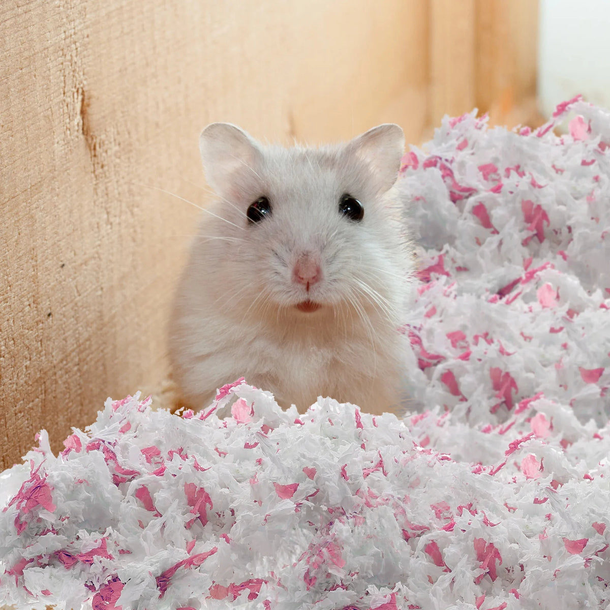 2 Pack Paper Cotton Pad, Pet Bedding Material. Mold Inhibiting Cage Liner Shavings Rabbit Hamster & Small Animal Supplies! - JanesWaggingWonders