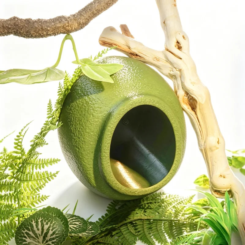 Reptile Hideouts Egg Cave with Suction Cups for Gecko Tree Frog Tarantula Spiders. Climbing Habitat Terrarium Décor.