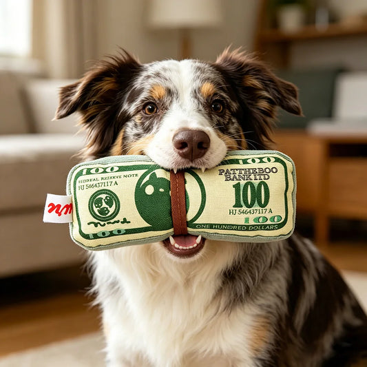 Interactive Squeaky Money Shaped Chew Toy for Dogs And Cats with Crinkle Paper. Teeth Cleaning Pet Toy.