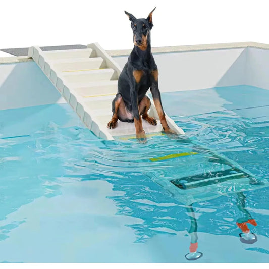 Foldable Dog Pool Ramp with 33" Legs for Free Height Adjustment, Safe & Easy Access dog water ramp for pool, Pool Ramp for Dogs!