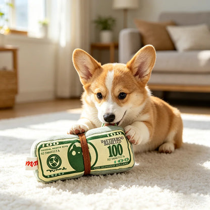 Interactive Squeaky Money Shaped Chew Toy for Dogs And Cats with Crinkle Paper. Teeth Cleaning Pet Toy.