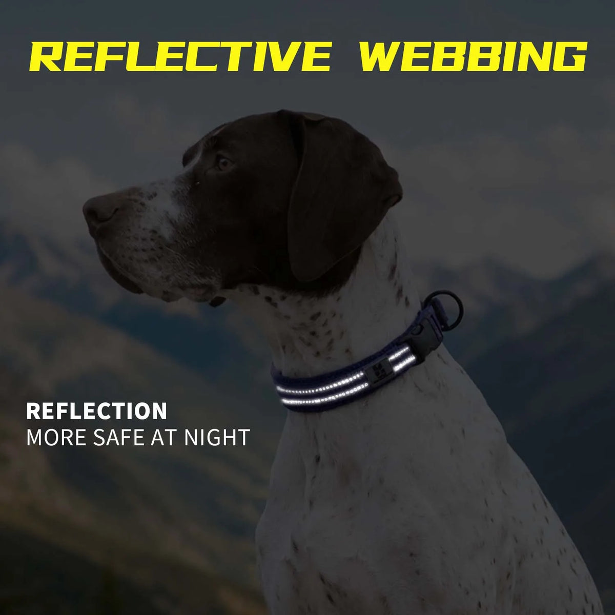 Dog Collar Adjustable Mesh Padded for Small, Medium & Large Dogs! Nylon Reflective for Pet.
