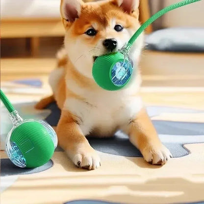 1~3pcs Cat Interactive Ball Toy. Automatic Rolling Ball Tail!  Rechargeable Smart Pet Electric Toy. Dog & Cat Training Imitates Mouse!