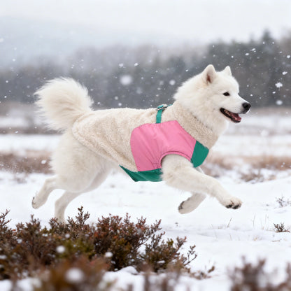 The lambskin material autumn and winter jacket for dogs is warm and comfortable - JanesWaggingWonders