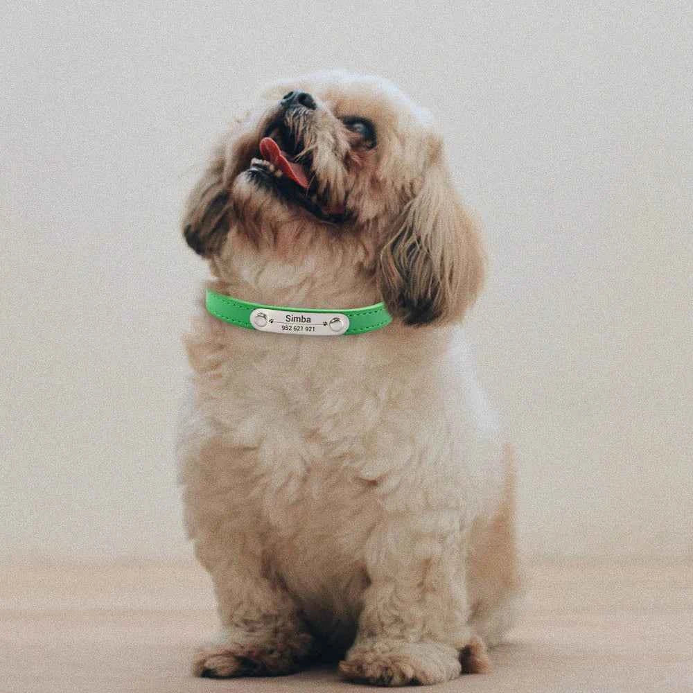 Personalized Dog Collar Name Carved ID {Anti-lost} Solid PU Leather Collar For Small Medium Large Dogs