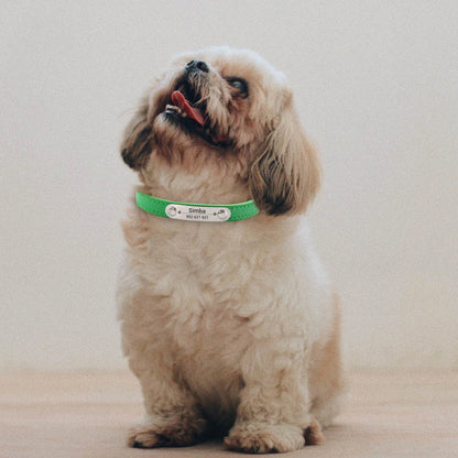 Personalized Dog Collar Name Carved ID ; Solid PU Leather Collar For Small Medium Large Dogs - JanesWaggingWonders