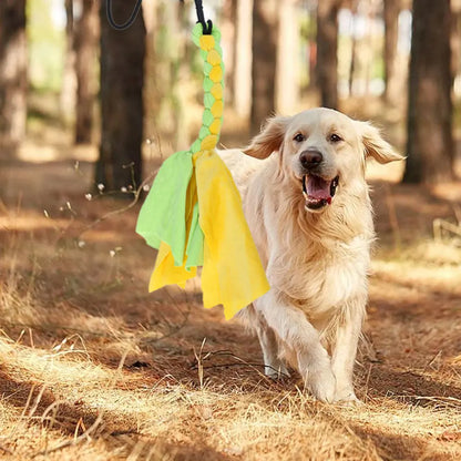 Retractable Dog Chase Toy – Interactive Flirt Pole for Training, Exercise & Outdoor Play