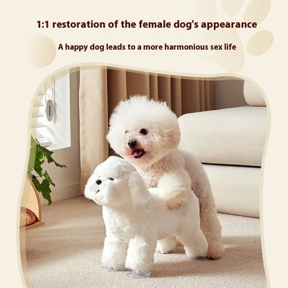 Small and medium-sized dog toys, Female dog form experience. - JanesWaggingWonders