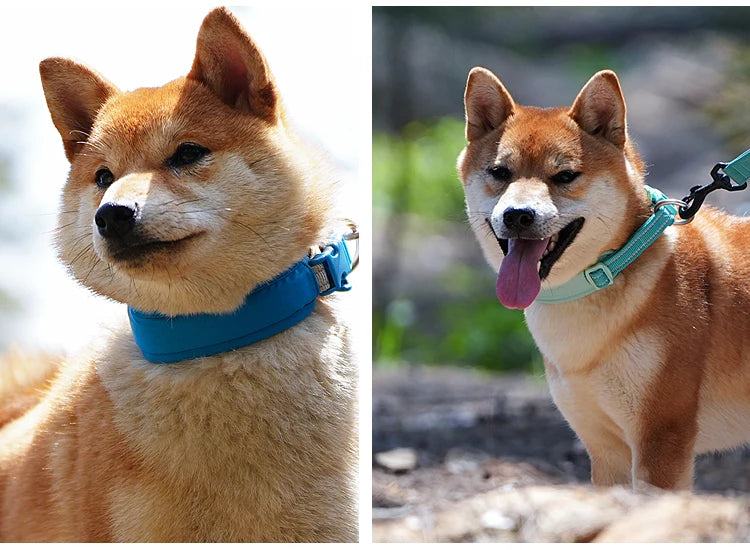 Personalized  Air Tag Small, Medium, Large, Padded Dog Collar;  Adjustable; Nylon & Reflective!