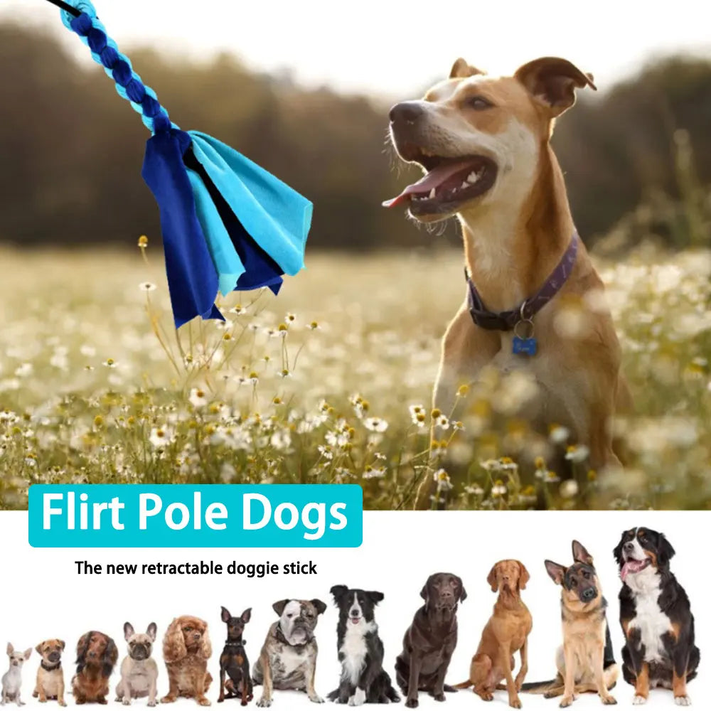 Retractable Dog Chase Toy – Interactive Flirt Pole for Training, Exercise & Outdoor Play