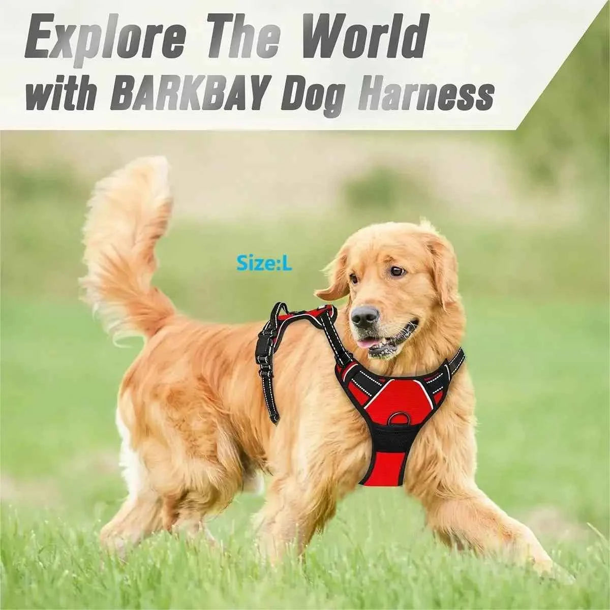 Big Dog Vest Harnesses