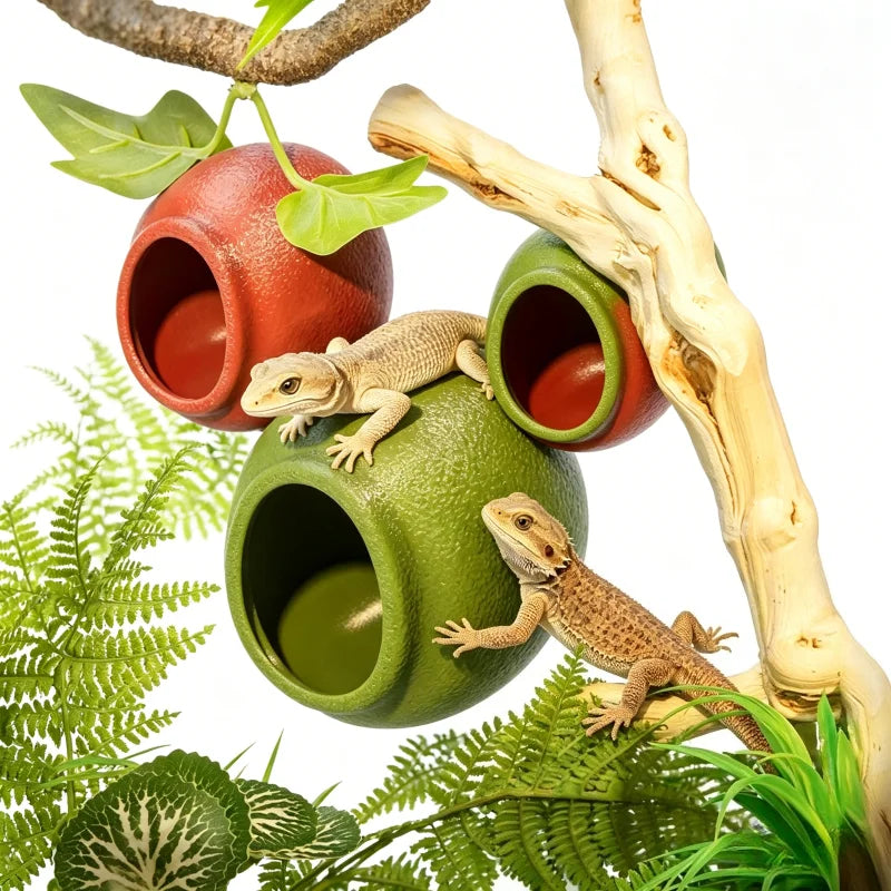 Reptile Hideouts Egg Cave with Suction Cups for Gecko Tree Frog Tarantula Spiders. Climbing Habitat Terrarium Décor. - JanesWaggingWonders