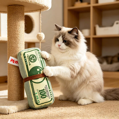 Interactive Squeaky Money Shaped Chew Toy for Dogs And Cats with Crinkle Paper. Teeth Cleaning Pet Toy.