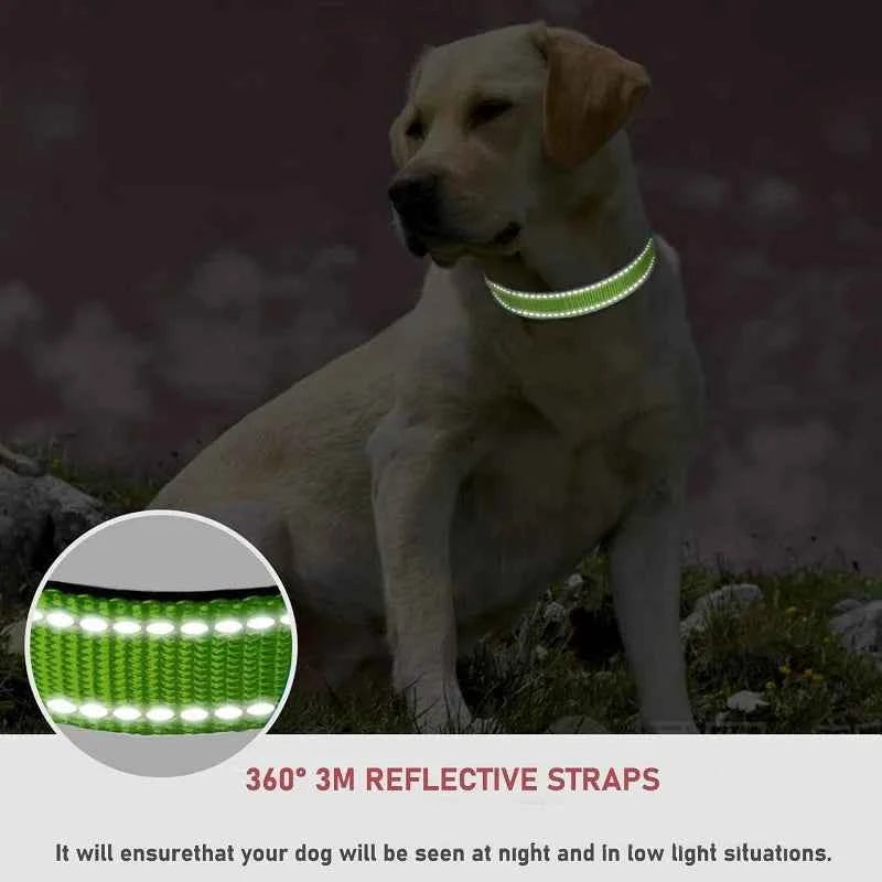 Choker Small Dog Collar Puppy Collars