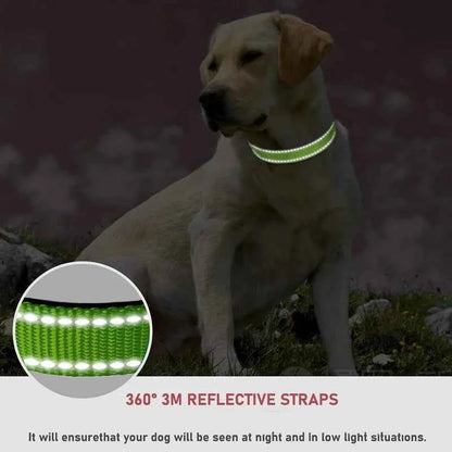 Choker Small Dog Collar Puppy Collars