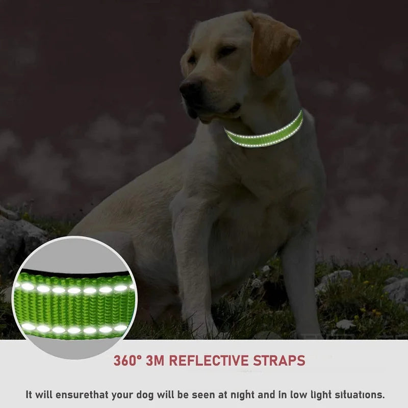 Choker Small Dog Collar Puppy Collars