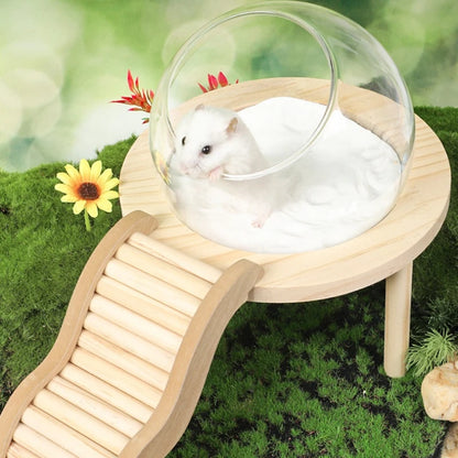 Hamster Bath House with Wooden Ladder Bridge. Easy to Clean. 
Climbing Toy Hamster Bathroom. Glass Shower Container for Safe Bathing