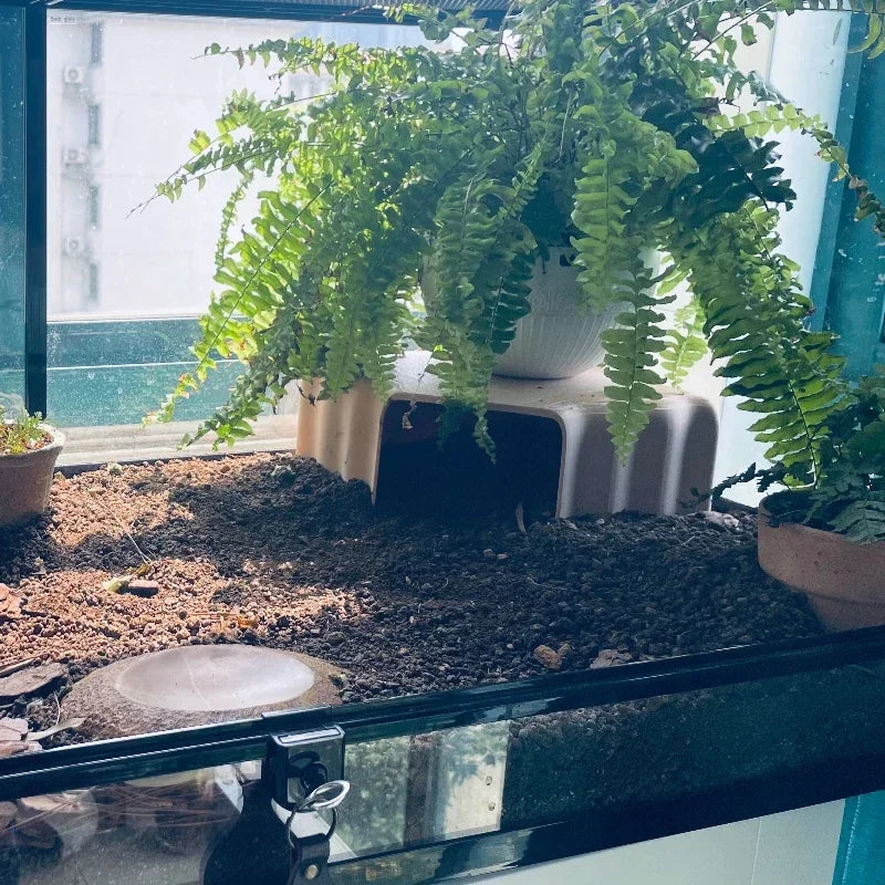 3D Printed Reptile Cave Hideout - Terrarium Decor - JanesWaggingWonders