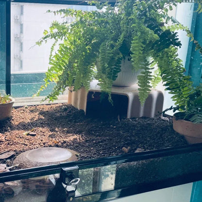 3D Printed Reptile Cave Hideout - Terrarium Decor - JanesWaggingWonders