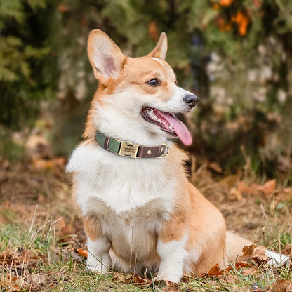 Leather, Engraved, Adjustable, Durable, Buckled, ID Collar for Small Medium & Large Dogs - JanesWaggingWonders