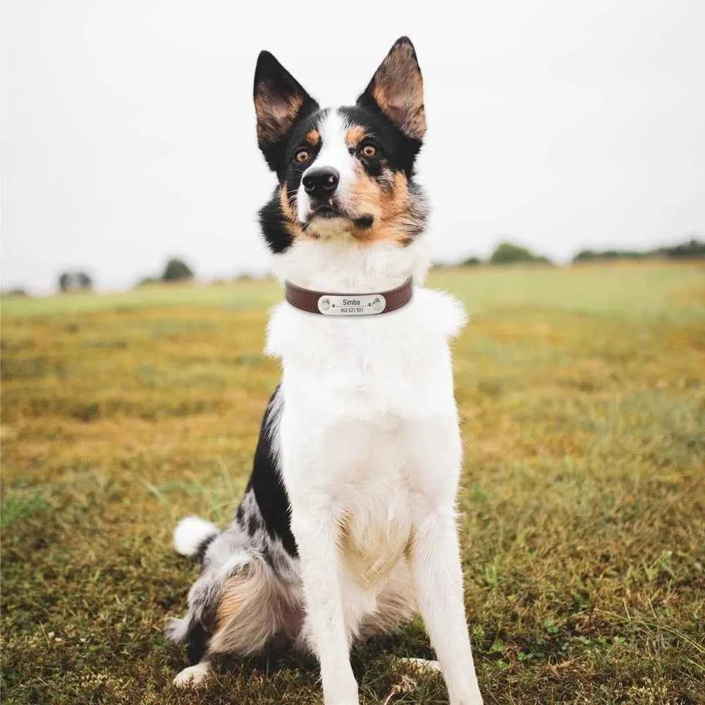 Personalized Dog Collar Name Carved ID {Anti-lost} Solid PU Leather Collar For Small Medium Large Dogs