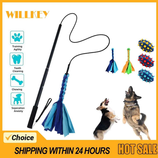 Retractable Dog Chase Toy – Interactive Flirt Pole for Training, Exercise & Outdoor Play