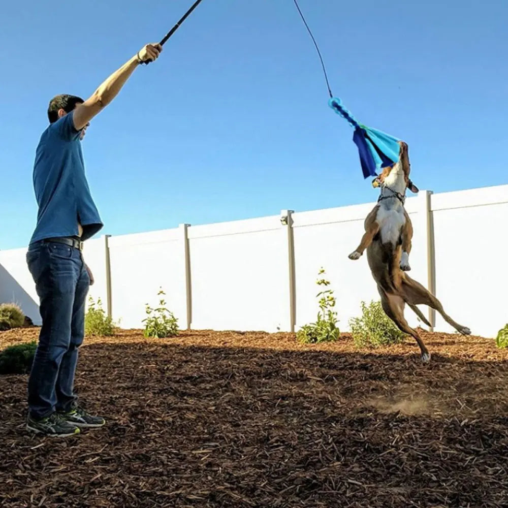 Retractable Dog Chase Toy – Interactive Flirt Pole for Training, Exercise & Outdoor Play