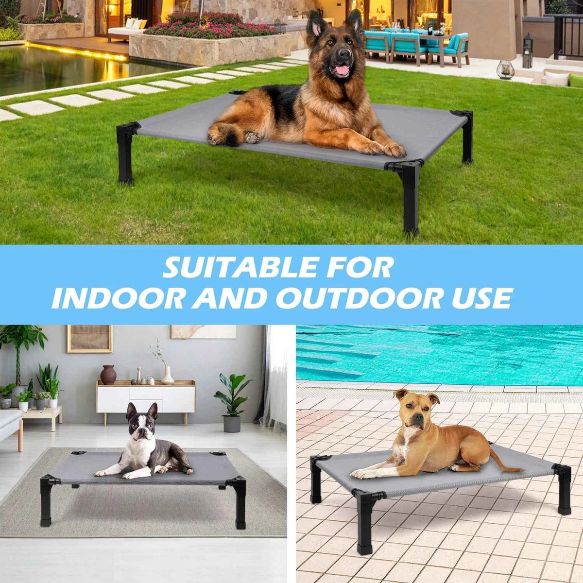 Elevated Dog Bed, Cooling Raised Pet Cot with Chew Proof Washable Breathable Mesh and Metal Frame.