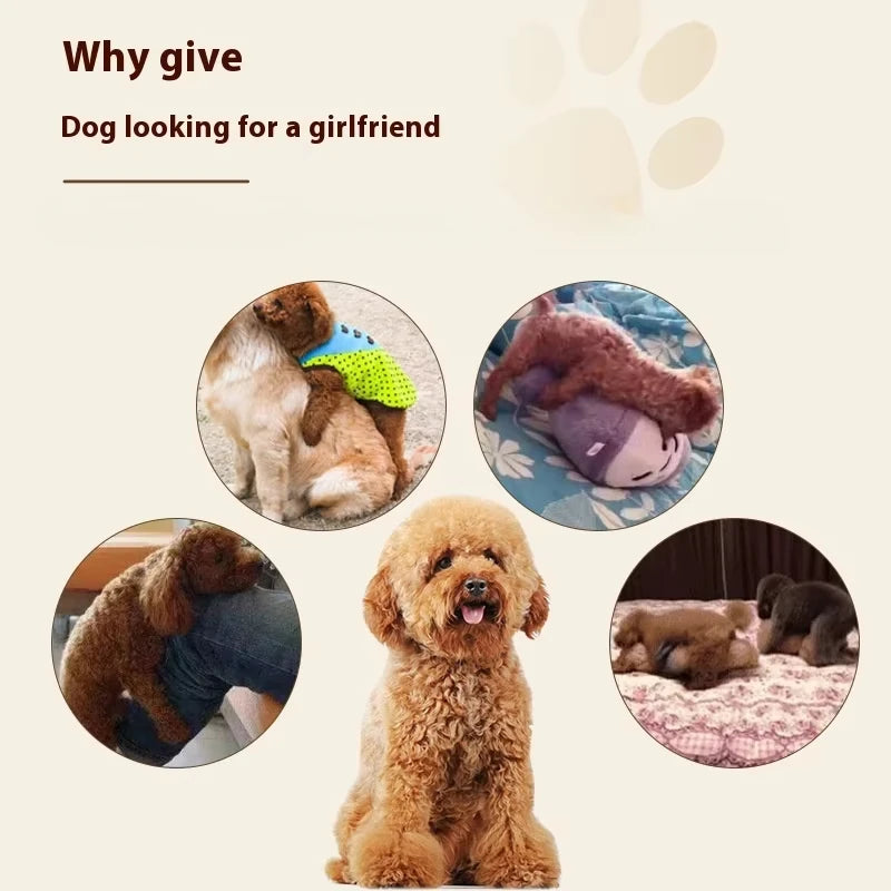 Small and medium-sized dog toys, Female dog form experience. - JanesWaggingWonders