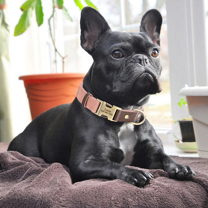 Leather, Engraved, Adjustable, Durable, Buckled, ID Collar for Small Medium & Large Dogs - JanesWaggingWonders