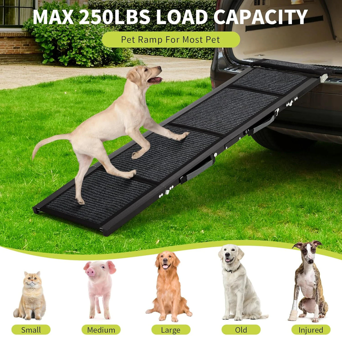 Upgraded Dog Ramp For Cars. Folding Pet Ramp For Large Dogs With Non-Slip Surface. Portable Outdoor Dog Car Ramp Up to 250 LBS!