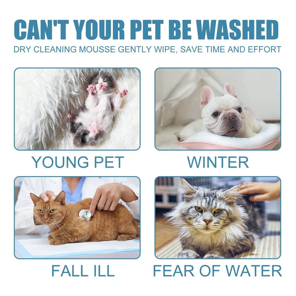 Pet dry cleaning, water free foam, mousse bath gel. Dog and cat, soft hair, bacteriostasis, deodorization, lasting fragrance!
