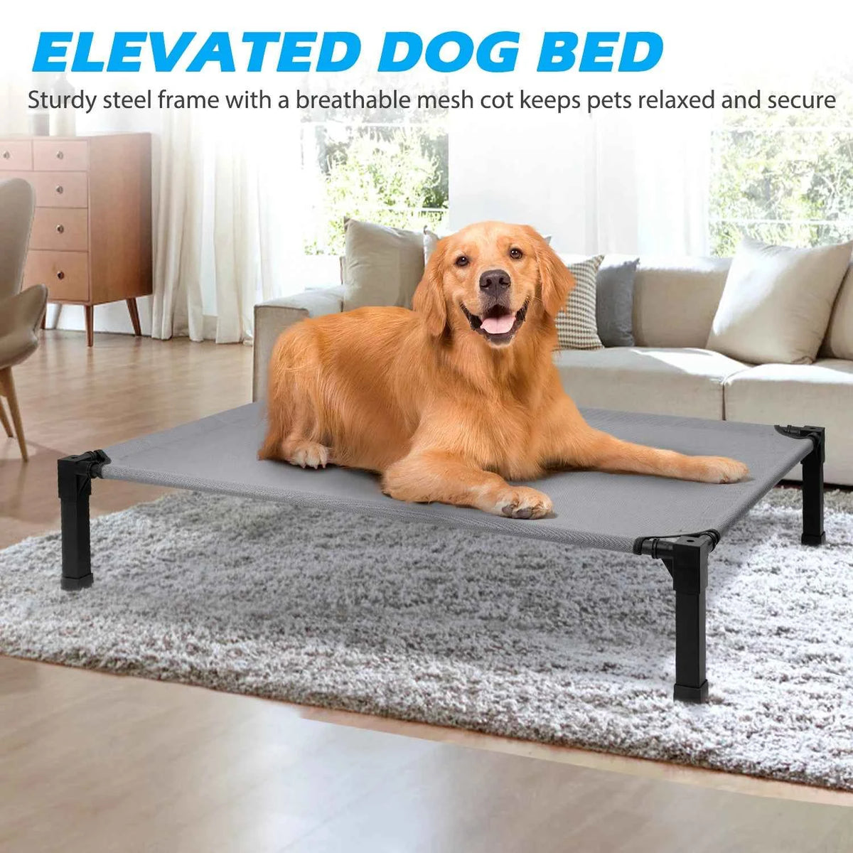 Elevated Dog Bed, Cooling Raised Pet Cot with Chew Proof Washable Breathable Mesh and Metal Frame.