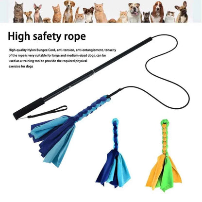 Retractable Dog Chase Toy – Interactive Flirt Pole for Training, Exercise & Outdoor Play