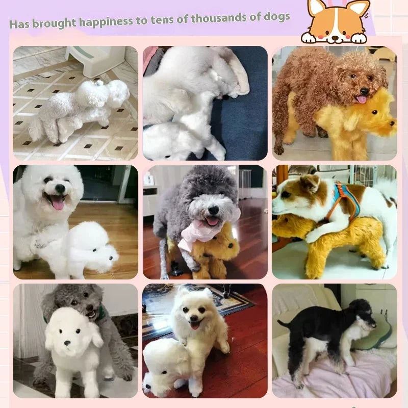 Small and medium-sized dog toys, Female dog form experience. - JanesWaggingWonders
