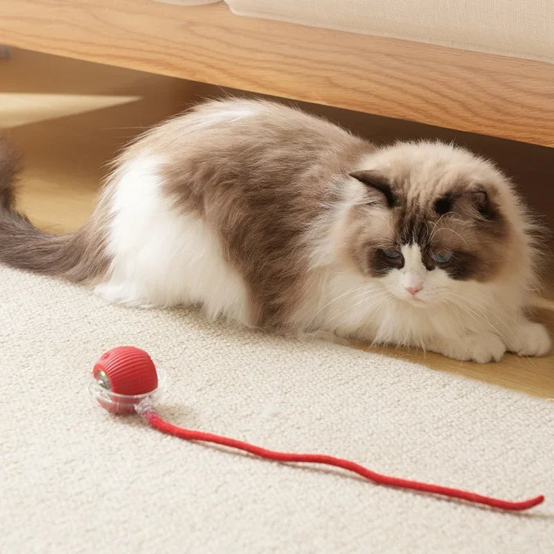 1~3pcs Cat Interactive Ball Toy. Automatic Rolling Ball Tail!  Rechargeable Smart Pet Electric Toy. Dog & Cat Training Imitates Mouse!
