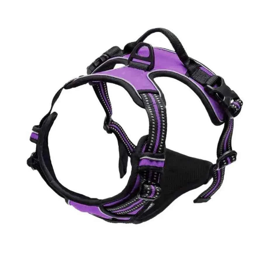 Big Dog Vest Harnesses