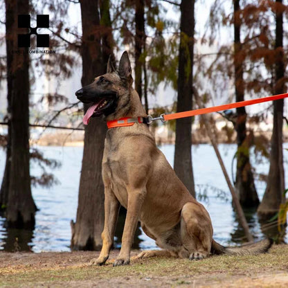 Personalized  Air Tag Small, Medium, Large, Padded Dog Collar;  Adjustable Nylon & Reflective!