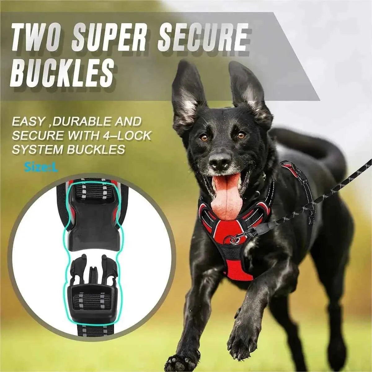 Big Dog Vest Harnesses
