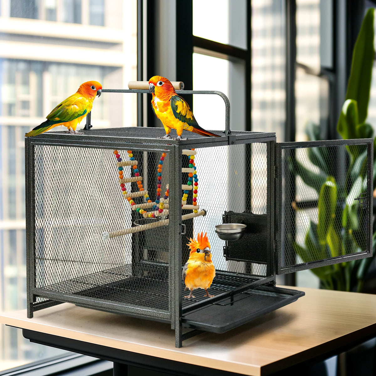 Wrought Iron Bird Travel Carrier Cage Parrot Cage with Handle & Wooden Perch W/Seed Guards for Small Parrots Canaries & Budgies. - JanesWaggingWonders