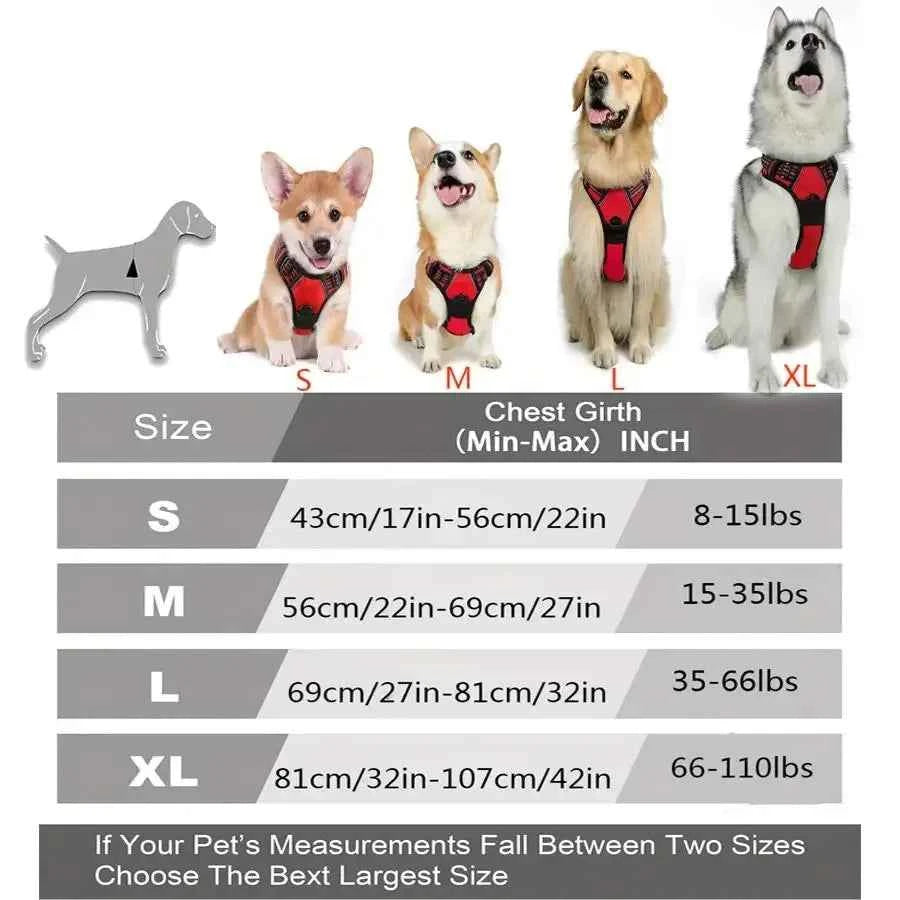 Big Dog Vest Harnesses