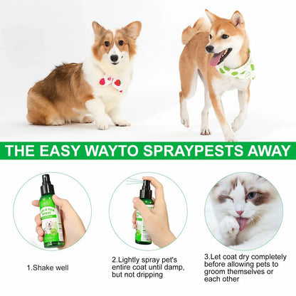100ml Natural Pet Care Topical Flea & Tick Spray for Dogs & Cats with Fresh Fragrance Peppermint Oil and Eugenol