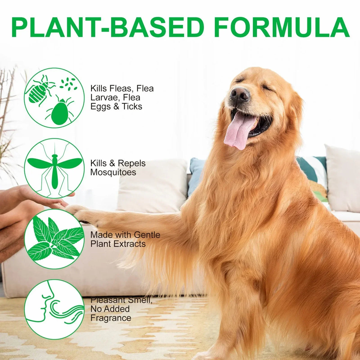 100ml Natural Pet Care Topical Flea & Tick Spray for Dogs & Cats with Fresh Fragrance Peppermint Oil and Eugenol