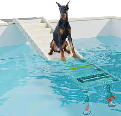 Foldable Dog Pool Ramp with 33" Legs for Free Height Adjustment, Safe & Easy Access dog water ramp for pool, Pool Ramp for Dogs!